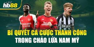 chảo lửa nam mỹ