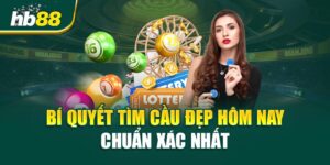 Cầu Đẹp Hôm Nay - Bí Quyết Tìm Số Chuẩn Xác, Tăng Cơ Hội Thắng