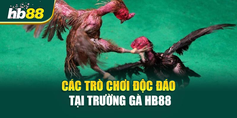 3 Lý Do Khiến Người Chơi Mê Mẩn Trường Gà HB88 2 Các Trò Chơi Độc Đáo Tại Trường Gà HB88