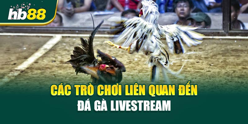 Đá Gà Livestream - Kèo Căng Đến Phút Chót 2 Các Trò Chơi Liên Quan Đến Đá Gà Livestream
