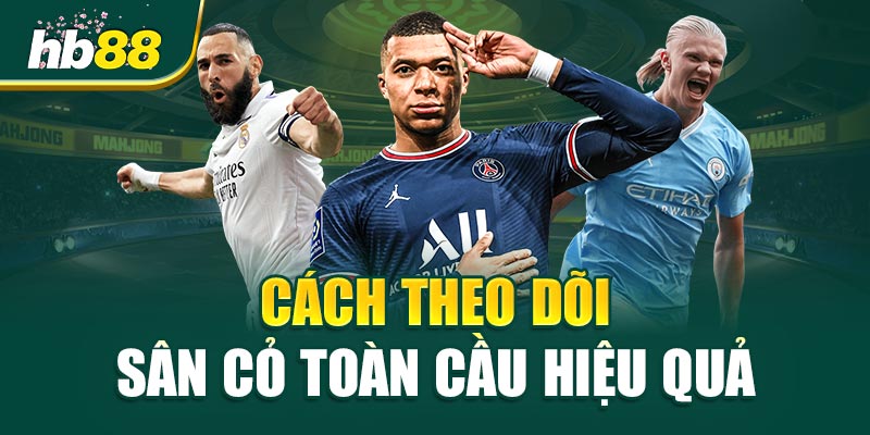 Cách Theo Dõi Sân Cỏ Toàn Cầu Hiệu Quả