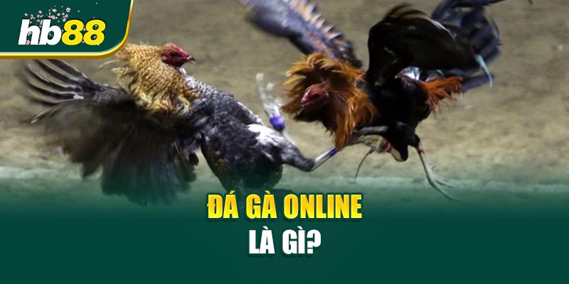 Đá Gà Online là gì?