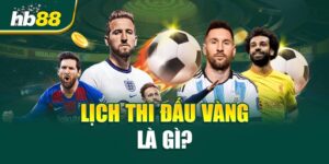 Bản Tin HLV & Chuyển Nhượng - Cập Nhật Nóng Hổi 2025