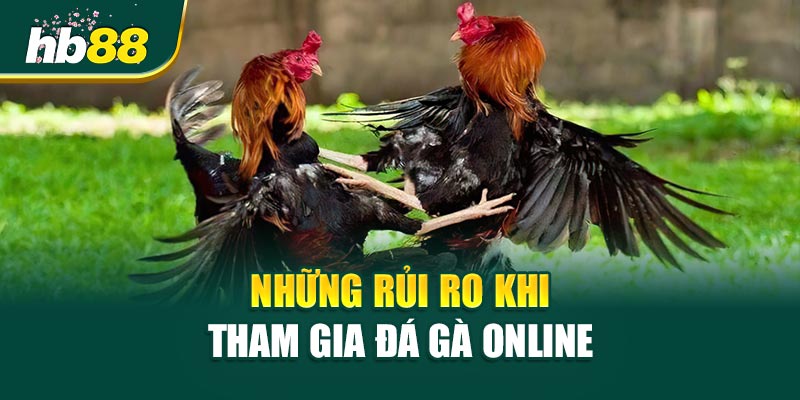 Những rủi ro hay gặp khi tham gia Đá Gà Online