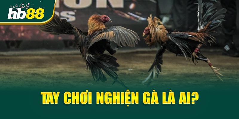 Tay Chơi Nghiện Gà - Thắng Hay Mất Cả Sổ Đỏ? 1 Tay Chơi Nghiện Gà là ai?
