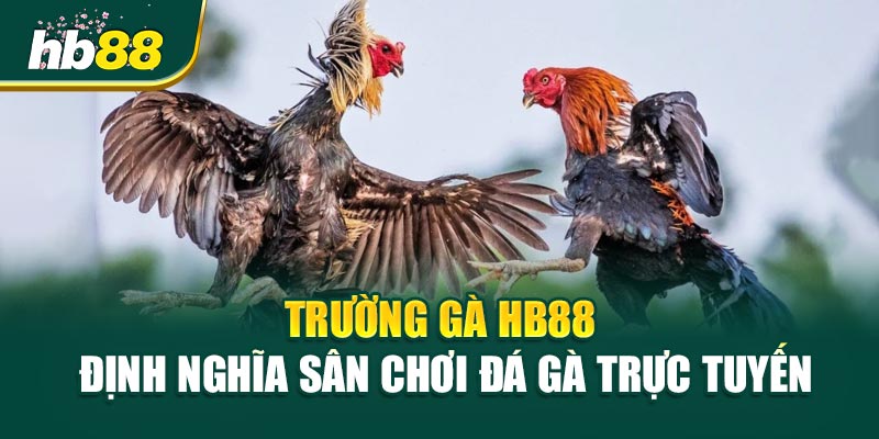 3 Lý Do Khiến Người Chơi Mê Mẩn Trường Gà HB88 1 Trường Gà HB88 – Định Nghĩa Sân Chơi Đá Gà Trực Tuyến