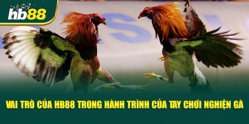Tay Chơi Nghiện Gà - Thắng Hay Mất Cả Sổ Đỏ? 3 Vai trò của HB88 trong hành trình của Tay Chơi Nghiện Gà